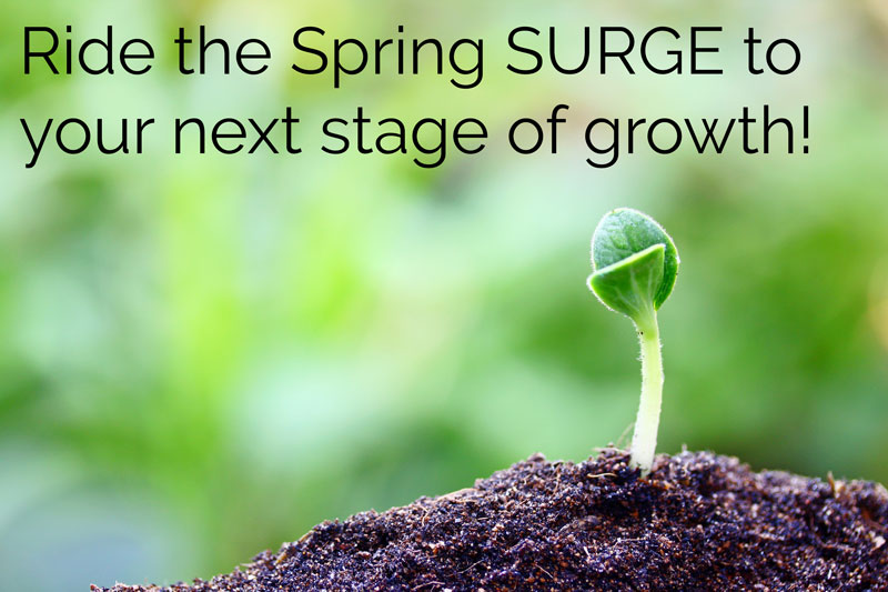 Ride the Spring SURGE to your next stage of growth!